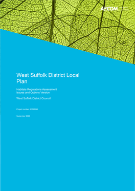 Amelia Kent Report West Suffolk District Local Plan 2020-09-07