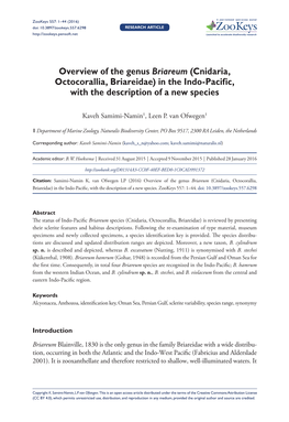 Overview of the Genus Briareum (Cnidaria, Octocorallia, Briareidae