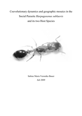 Harpagoxenus Sublaevis and Its Two Host Species