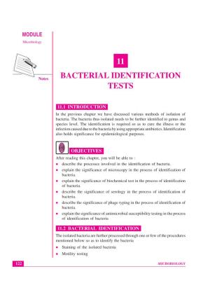 Lesson 11. Bacterial Identification Tests(290