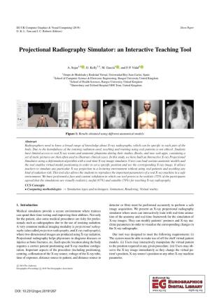 Projectional Radiography Simulator: an Interactive Teaching Tool