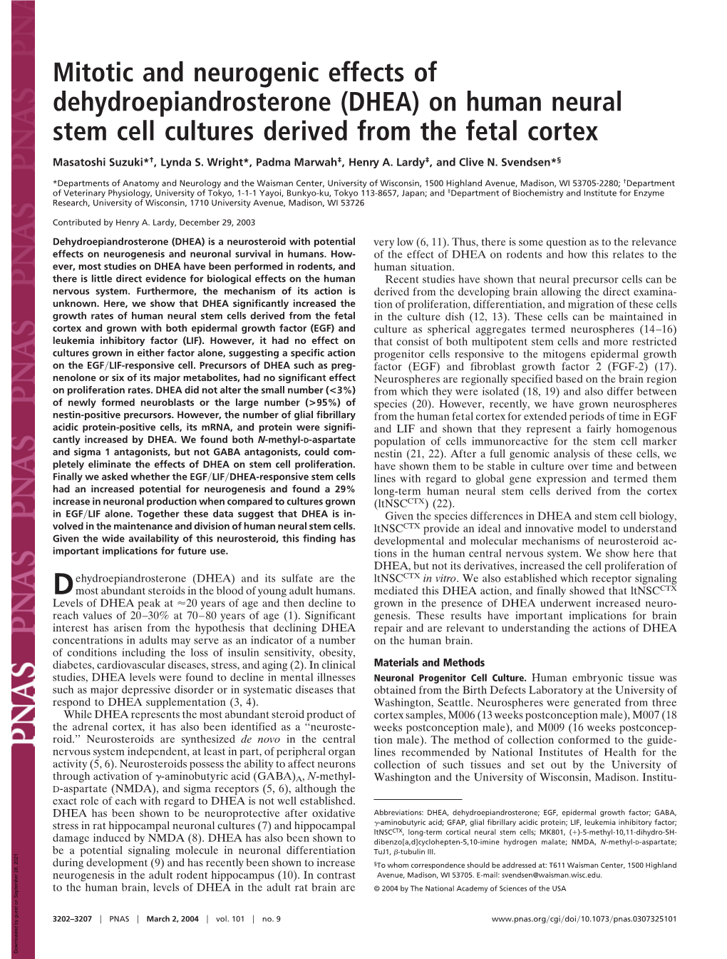 (DHEA) on Human Neural Stem Cell Cultures Derived from the Fetal Cortex