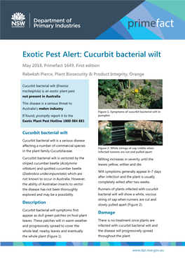 Cucurbit Bacterial Wilt