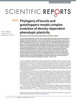 Phylogeny of Locusts and Grasshoppers Reveals Complex