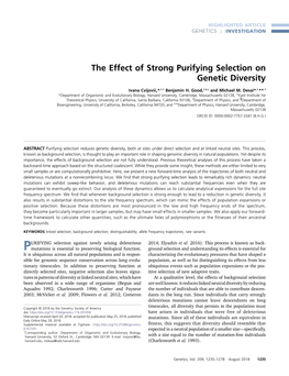 The Effect of Strong Purifying Selection on Genetic Diversity
