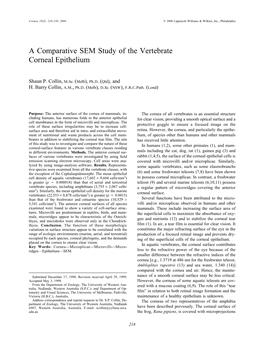 A Comparative SEM Study of the Vertebrate Corneal Epithelium