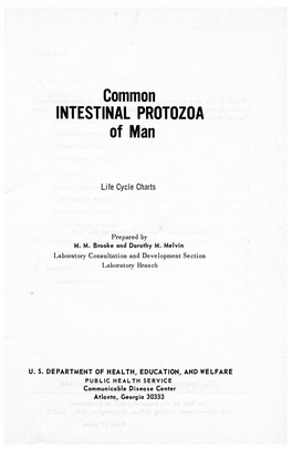 Common INTESTINAL PROTOZOA of Man