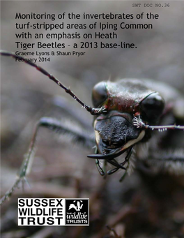 Monitoring of the Invertebrates of the Turf-Stripped Areas of Iping Common with an Emphasis on Heath Tiger Beetles – a 2013 Base-Line