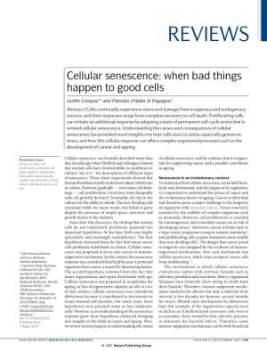 Cellular Senescence: When Bad Things Happen to Good Cells