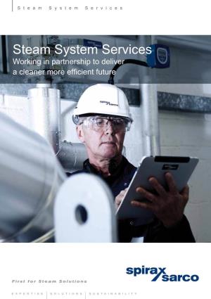 Steam System Services
