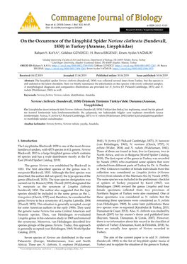 On the Occurrence of the Linyphiid Spider Neriene Clathrata (Sundevall, 1830) in Turkey (Araneae, Linyphiidae) Rahşen S