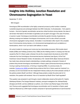 Insights Into Holliday Junction Resolution and Chromosome Segregation in Yeast