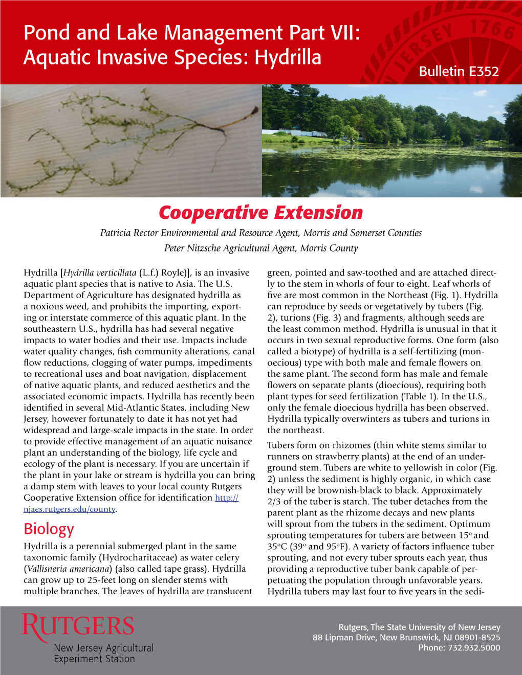 Hydrilla Bulletin E352