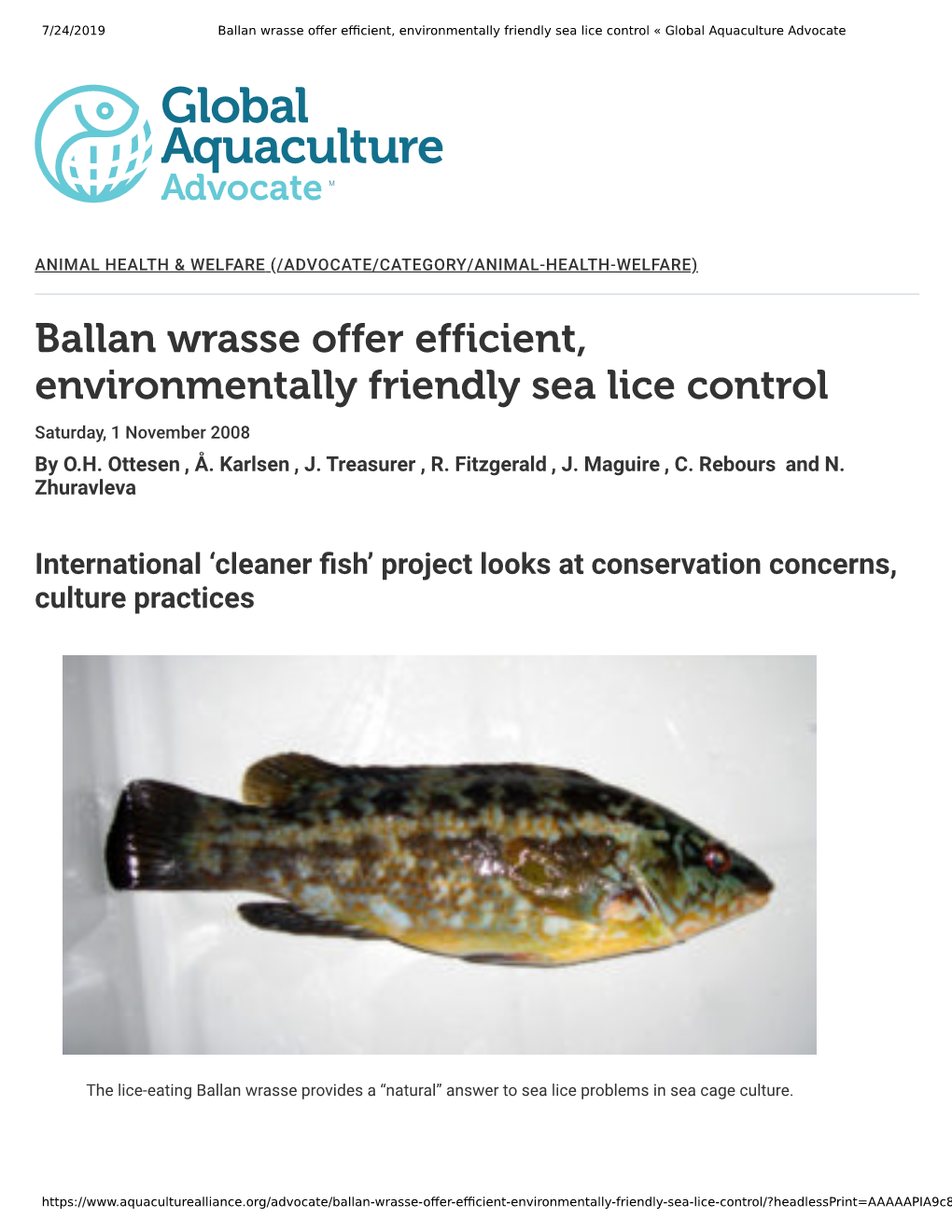 Ballan Wrasse Offer Efficient, Environmentally Friendly Sea Lice Control Saturday, 1 November 2008 by O.H