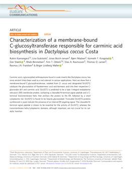 Characterization of a Membrane-Bound C-Glucosyltransferase Responsible for Carminic Acid Biosynthesis in Dactylopius Coccus Costa