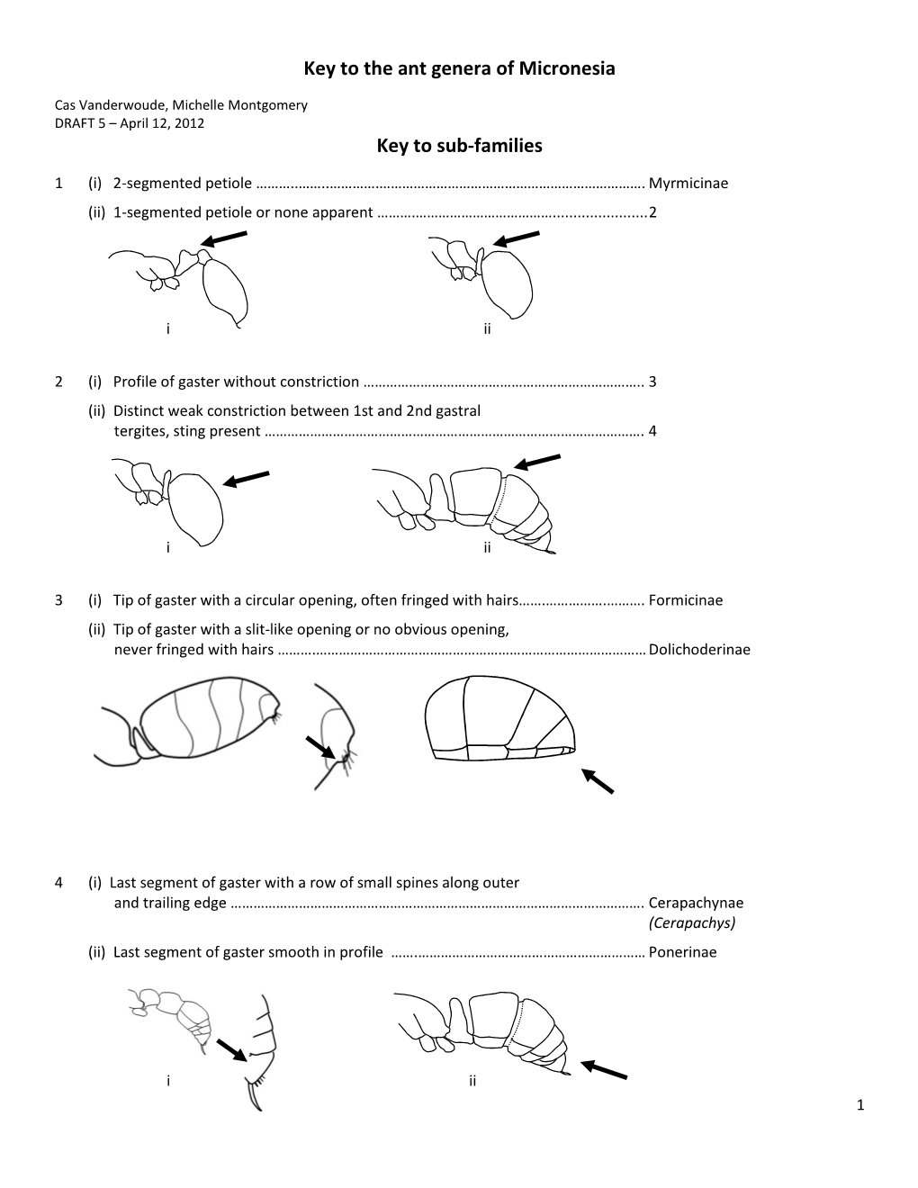 Key to the Ant Genera of Micronesia Key to Sub-Families