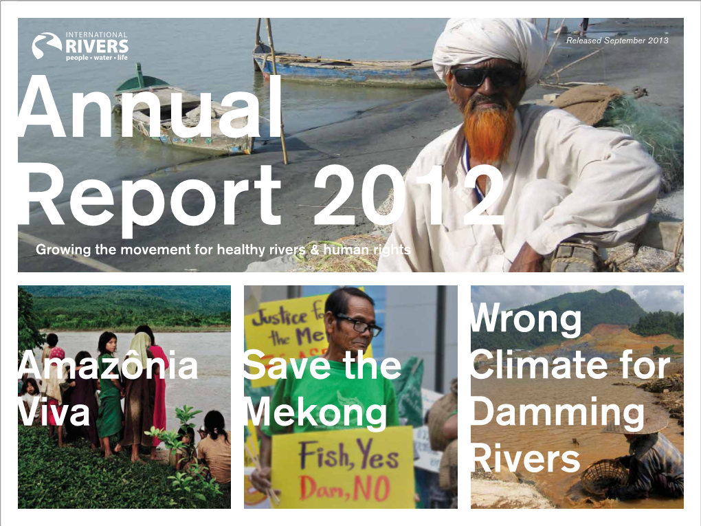 2012 Annual Report