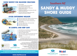 Southern NZ Sandy and Muddy Shore Guide