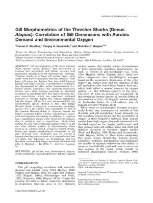 Gill Morphometrics of the Thresher Sharks (Genus Alopias): Correlation of Gill Dimensions with Aerobic Demand and Environmental Oxygen