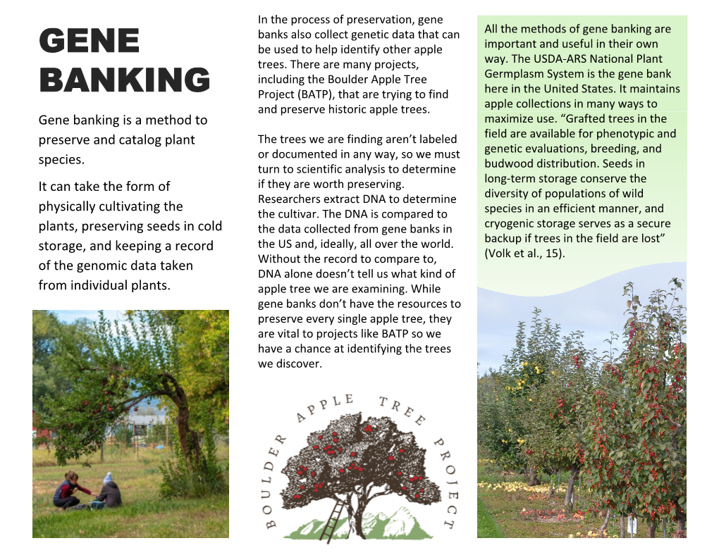 Gene Banking Are GENE Be Used to Help Identify Other Apple Important and Useful in Their Own Trees