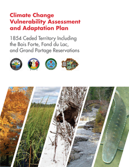 Climate Change Vulnerability Assessment and Adaptation Plan 1854 Ceded Territory Including the Bois Forte, Fond Du Lac, and Grand Portage Reservations