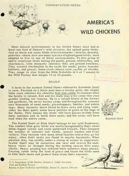 Circular 63. America's Wild Chickens