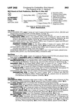 LOT 262 Consigned by Castledillon Stud (Agent) 262 the Property of Mr