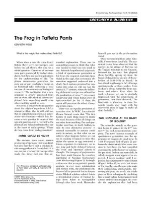 The Frog in Taffeta Pants