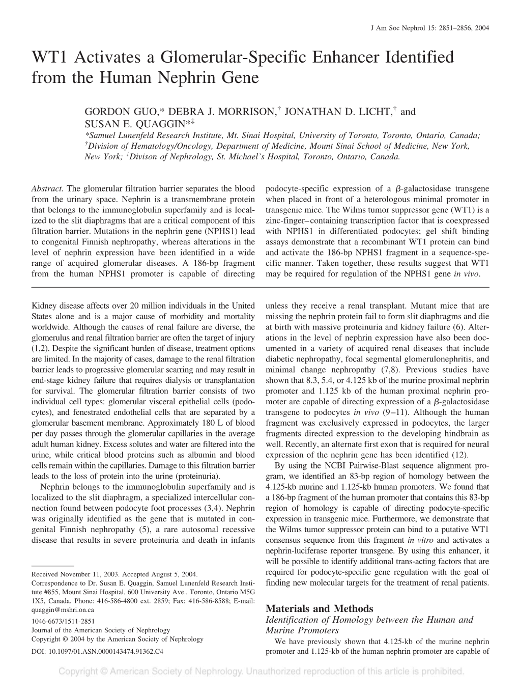 WT1 Activates a Glomerular-Specific Enhancer Identified from the Human Nephrin Gene