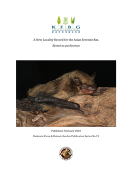 A New Locality Record for the Asian Serotine Bat, Eptesicus Pachyomus Publication Series No