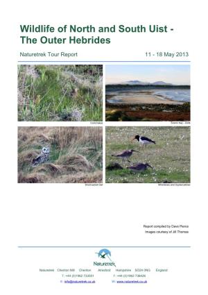 Wildlife of North and South Uist - the Outer Hebrides