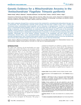 Genetic Evidence for a Mitochondriate Ancestry in the ‘Amitochondriate’ Flagellate Trimastix Pyriformis Vladimir Hampl1, Jeffrey D