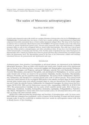 The Scales of Mesozoic Actinopterygians