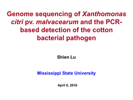 Genome Sequencing of Xanthomonas Citri Pv. Malvacearum and the PCR- Based Detection of the Cotton Bacterial Pathogen