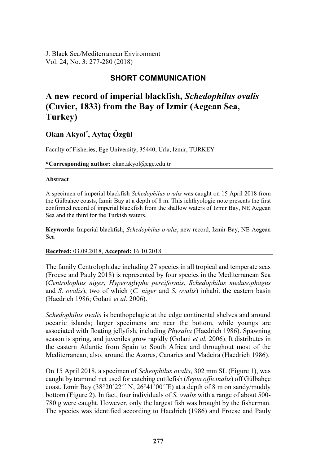 A New Record of Imperial Blackfish, Schedophilus Ovalis (Cuvier, 1833) from the Bay of Izmir (Aegean Sea, Turkey)