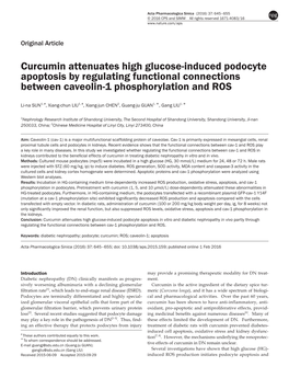 Curcumin Attenuates High Glucose-Induced Podocyte Apoptosis by Regulating Functional Connections Between Caveolin-1 Phosphorylation and ROS