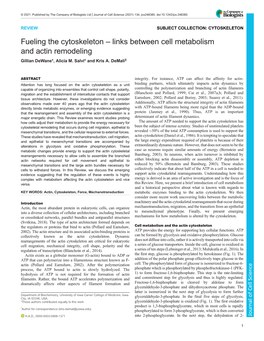 Fueling the Cytoskeleton – Links Between Cell Metabolism and Actin Remodeling Gillian Dewane*, Alicia M