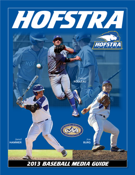2013 Baseball Media Guide Austin NYMAN