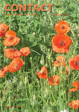 Published by the Church in Loddon November 2020 Poppies: R Y Ball