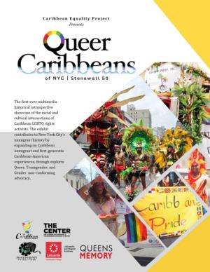 Caribbean Equality Project Presents Caribbean Pride Newsletter