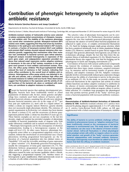 Contribution of Phenotypic Heterogeneity to Adaptive Antibiotic Resistance