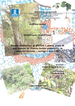 Estudos Comparativos De Plântulas E Plantas Jovens De Duas Espécies De Ormosia Jackson Provenientes De Ambientes Distintos - Restinga E Mata Ciliar