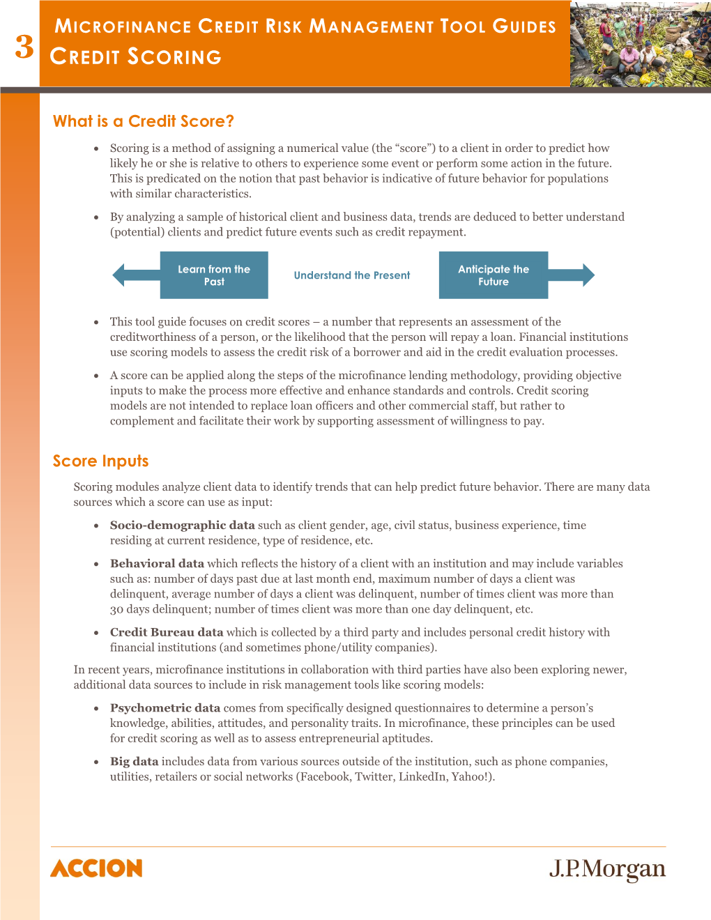 Microfinance Credit Risk Management Tool Guides 3 Credit Scoring