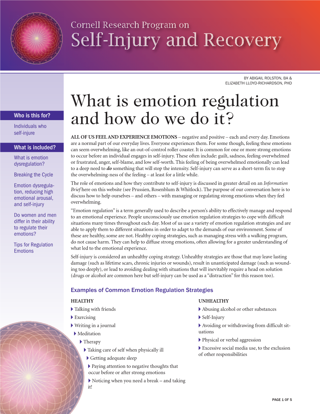 What Is Emotion Regulation