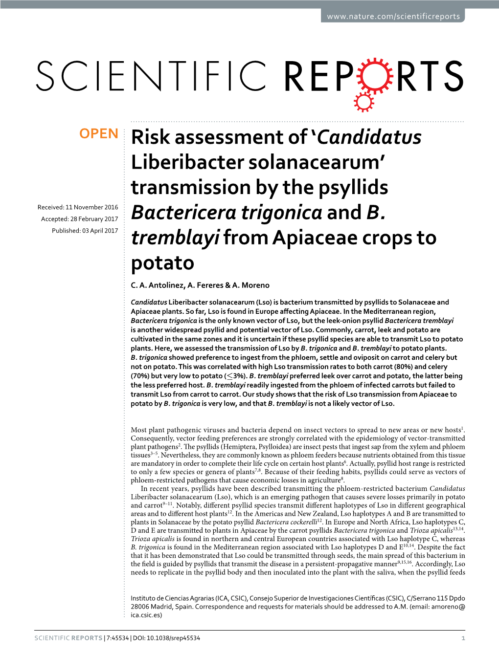 Risk Assessment of 'Candidatus Liberibacter Solanacearum' Transmission by the Psyllids Bactericera Trigonica and B. Tremblay