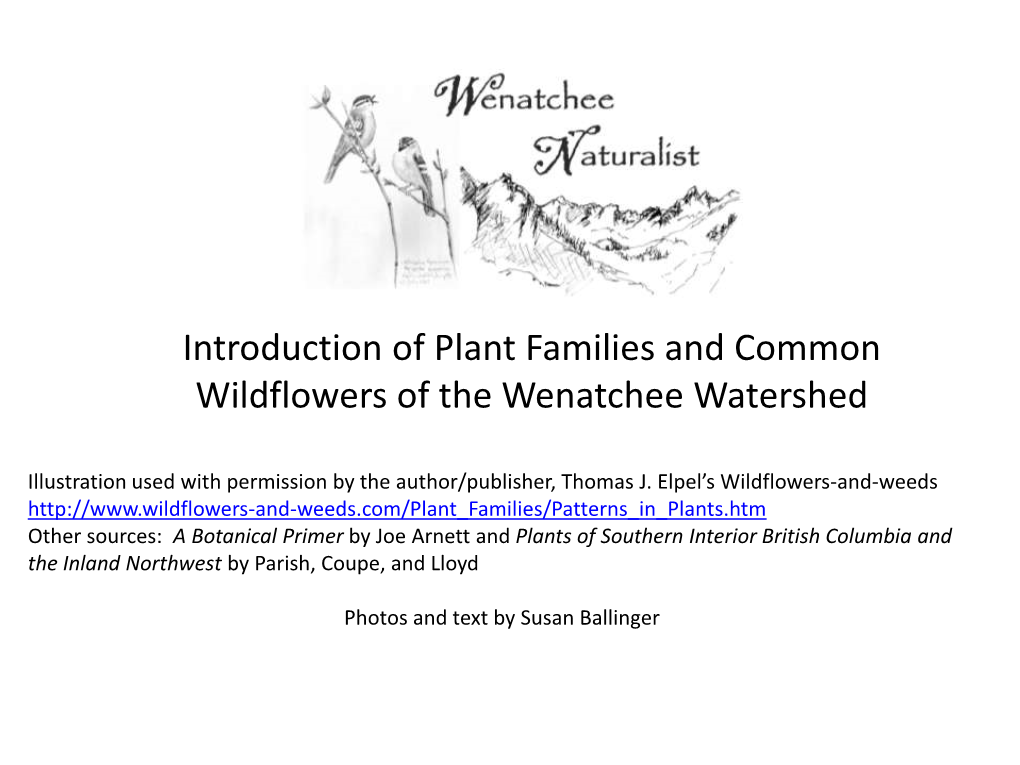 Introduction of Plant Families and Common Wildflowers of the Wenatchee Watershed