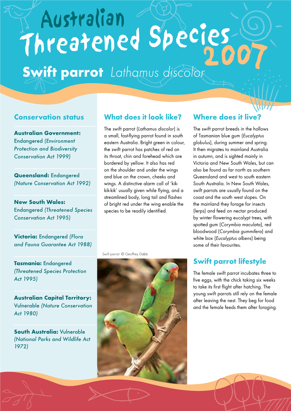 Swift Parrot Lathamus Discolor2007
