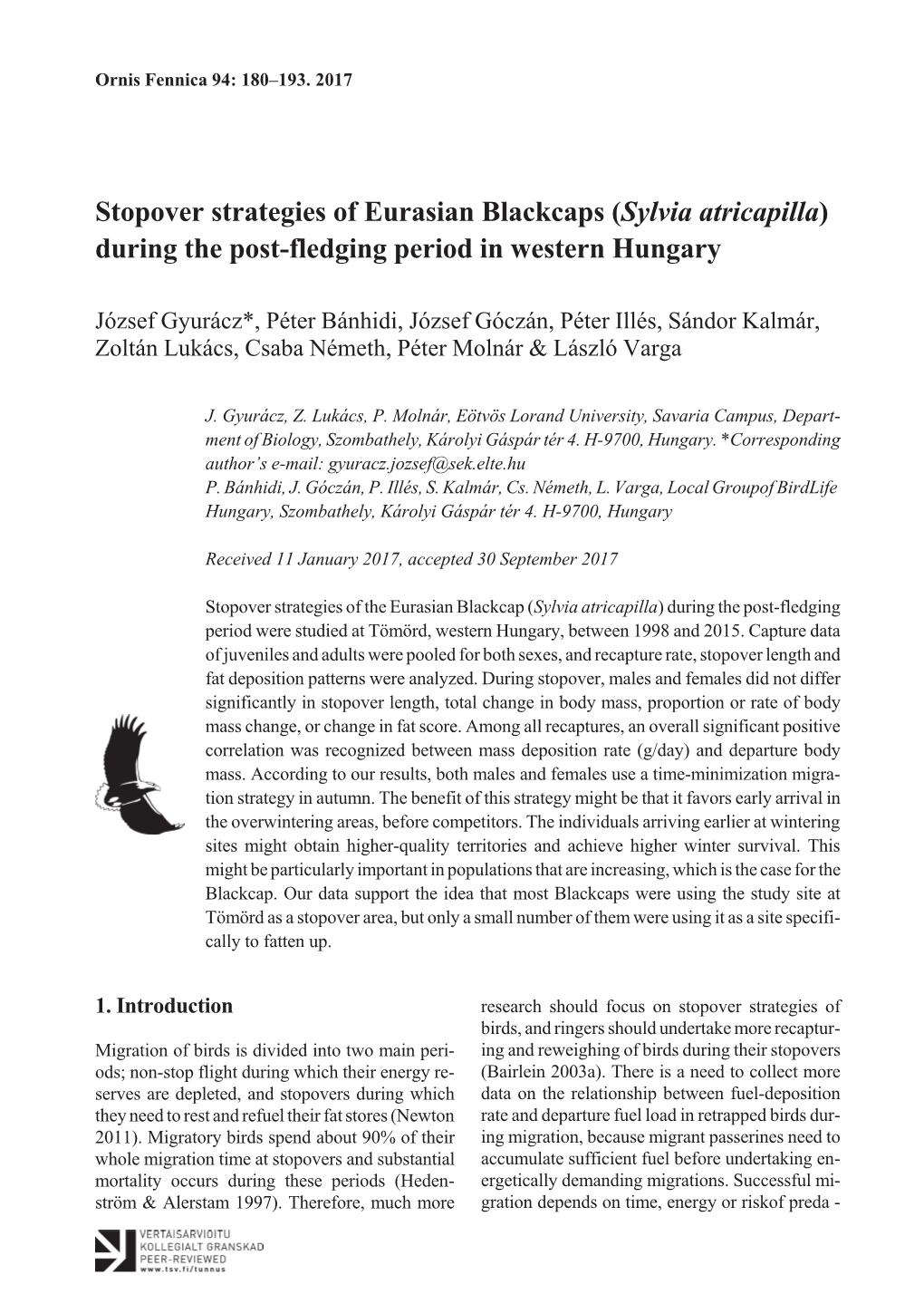 Stopover Strategies of Eurasian Blackcaps (Sylvia Atricapilla) During the Post-Fledging Period in Western Hungary