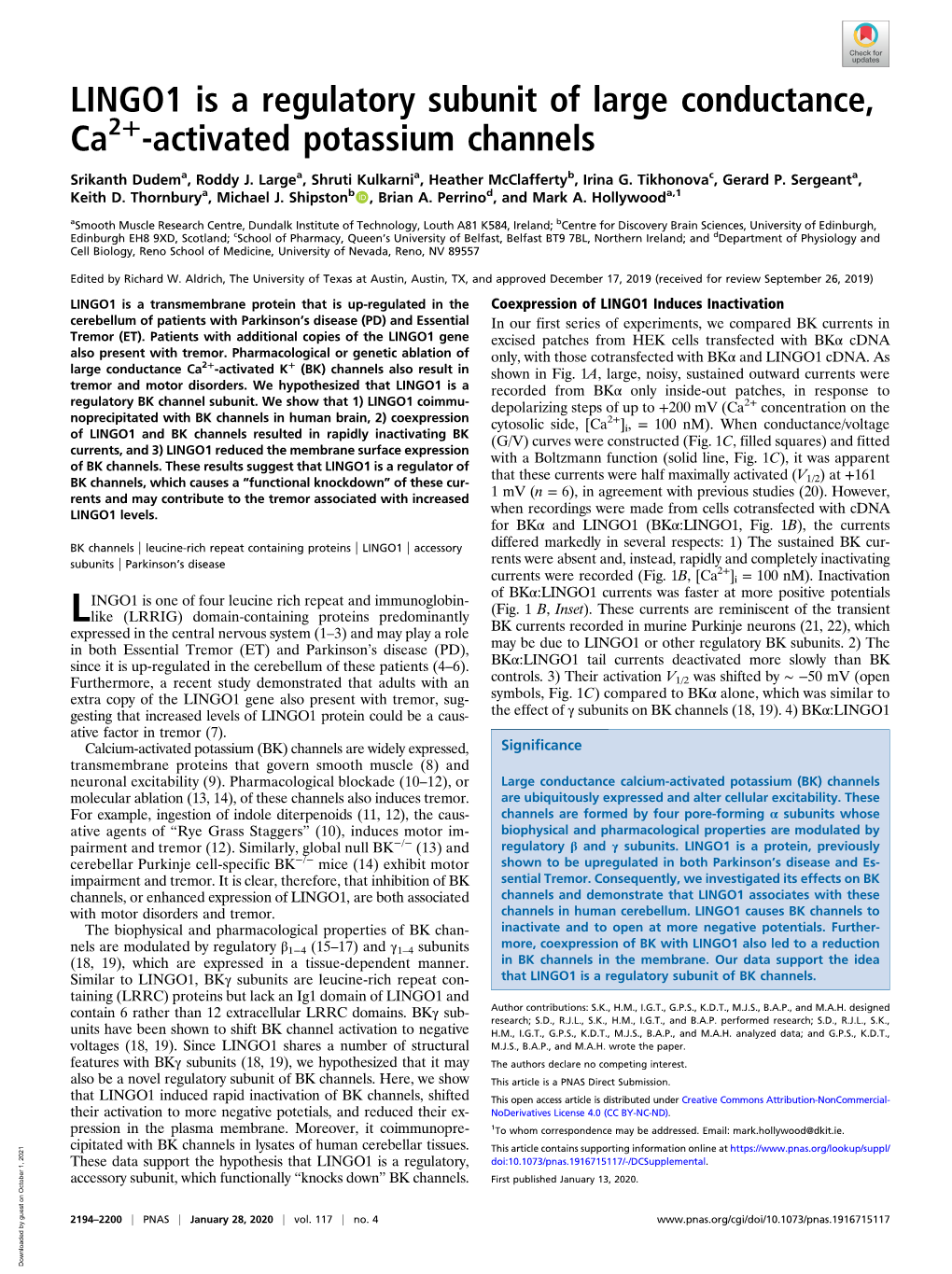 LINGO1 Is a Regulatory Subunit of Large Conductance, + Ca2 -Activated Potassium Channels