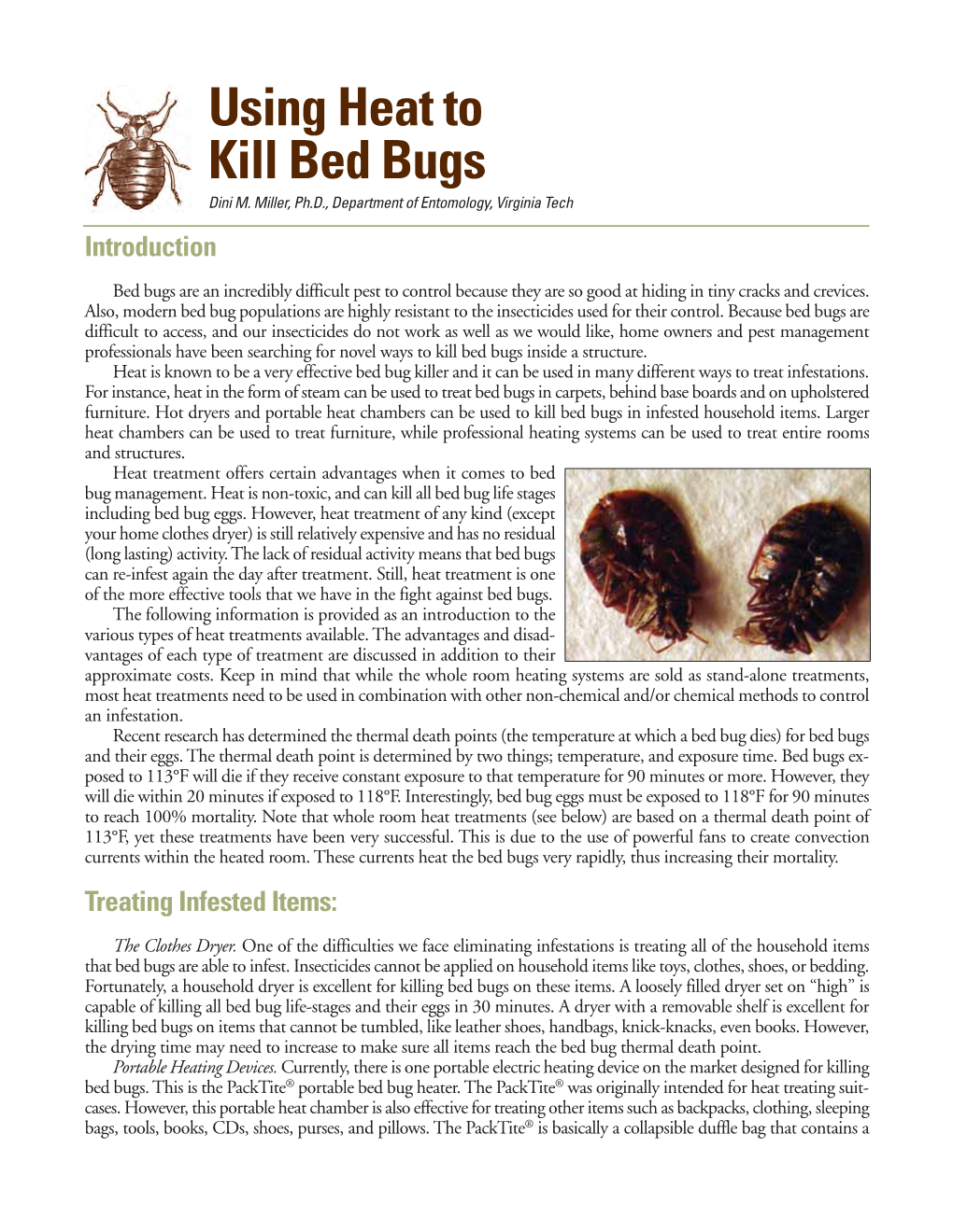 Using Heat to Kill Bed Bugs Dini M